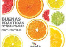 Jornada en el IVIA: Aspectos críticos en el uso de fitosanitarios en la Comunidad Valenciana. Jornada en el IVIA: Aspectos críticos en el uso de fitosanitarios en la Comunidad Valenciana.