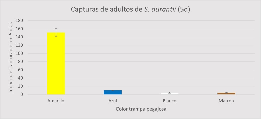 Gráfica 1.- Captura de adultos en trampas cromáticas.